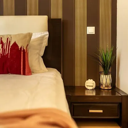 Apartment Mima Comfort, Free Guarded Private Parking And Gym Bucharest