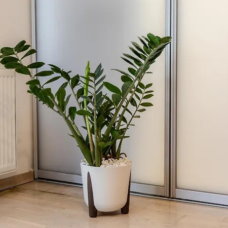Appartement Mima Comfort, Free Guarded Private Parking And Gym